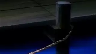 سكس حديقة حيوانات كرتوني وحش متحرك قاسي