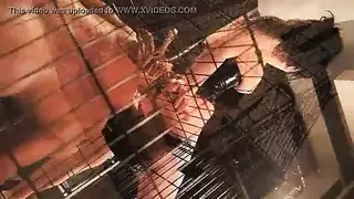 الرجل الوحيد في العائله