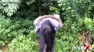 شاب متلألئ يتبول بشدة في مكان عام