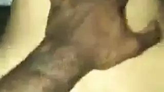 سيناريو الزوج المخدوع: شاهد جيل كاسيدي تُضرب بقضيب أسود كبير