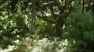 العصر الذهبي للأفلام الإباحية البرازيلية: إرث عائلة غزال الجنسي الصريح