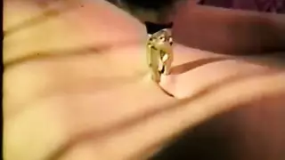 مقاطع إباحية صريحة سهلة الفتح أضيفت اليوم