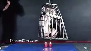 قاسي ومستعد: مسيطرون كبار يدربون عبيدهم الراغبين